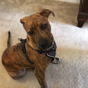 Meet your Posher, Katherine